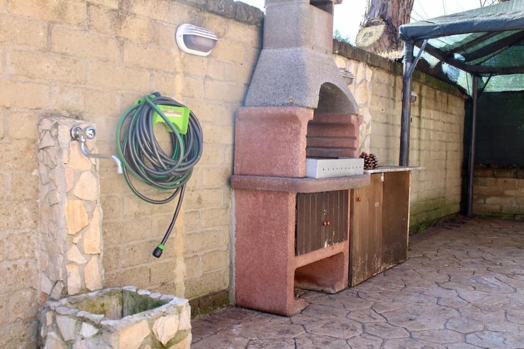 Appartamento The Garden House Fco, Self Check In And Free Private Parking Fiumicino Esterno foto