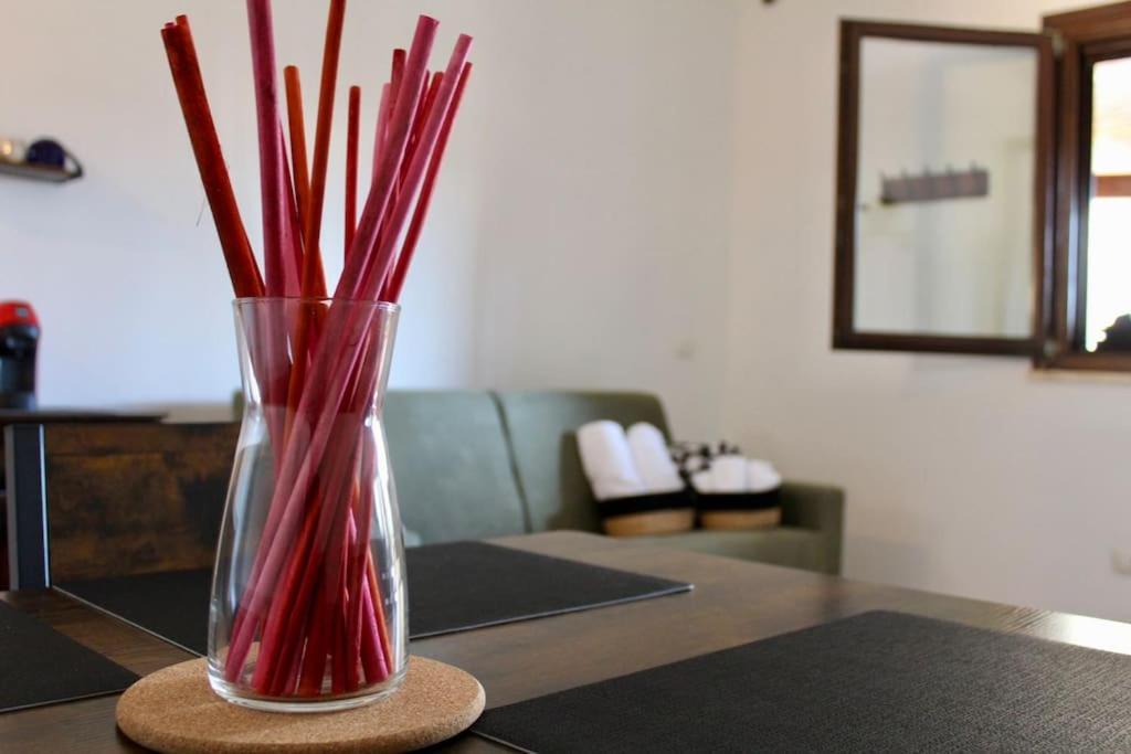 Appartamento The Garden House Fco, Self Check In And Free Private Parking Fiumicino Esterno foto